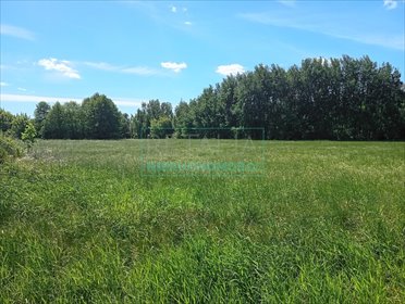 Działka 3700 m² w Kozery, media w drodze, cicha okolica działka Kozery