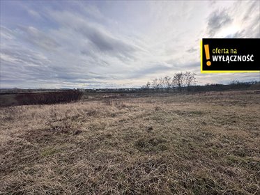 działka na sprzedaż 9652m2 działka Racibórz