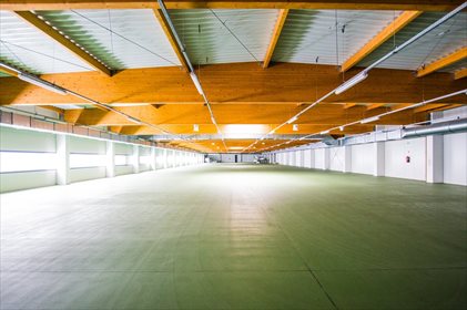 Lokal użytkowy na wynajem Regnów 8 500m2 Foto 6