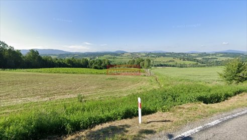 działka na sprzedaż 1000m2 działka Łapanów