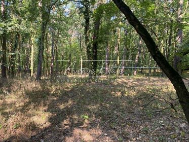 Działka 7268 m2 w Konstancinie-Jeziornej, pod usługi i zabudowę działka Konstancin-Jeziorna, Stefana Żółkiewskiego