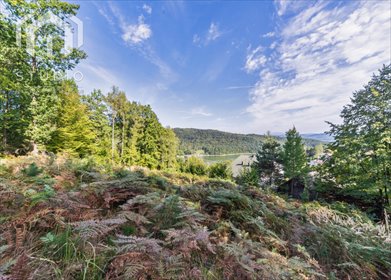 Działka budowlana na sprzedaż Tresna, Krucza 2 997m2 Foto 4