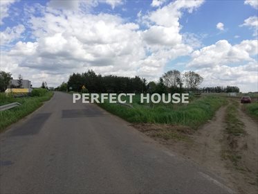 Działka budowlana na sprzedaż Wierzeja 901m2 Foto 4
