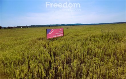 działka na sprzedaż 3010m2 działka Nidzica