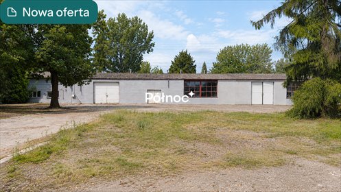 Na sprzedaż kompleks magazynowo-biurowy 2823 m² w Stodołach-Kolonii magazyn Stodoły-Kolonie