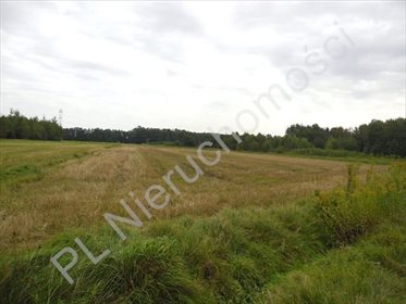 Działka rolna na sprzedaż Wólka-Konstancja 25 520m2 Foto 3