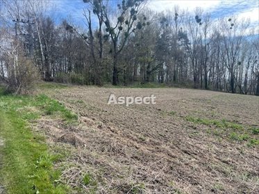 działka na sprzedaż 910m2 działka Turza Śląska