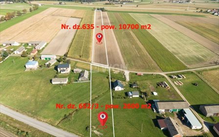 Działka rolna na sprzedaż Życzyn, Życzyn 22 600m2 Foto 1