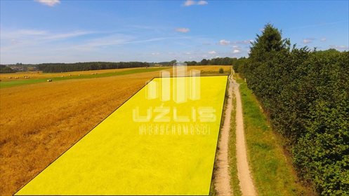 działka na sprzedaż 20000m2 działka Chwaszczyno, Polna