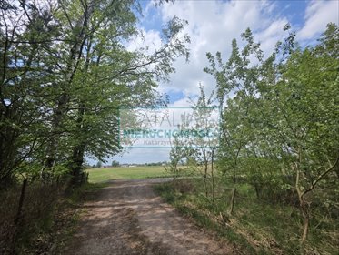 Działka 1585 m² pod dom w Chrzanowie Małym, media w drodze działka Chrzanów Mały