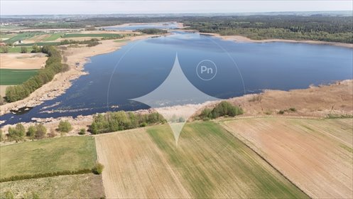 działka na sprzedaż 65500m2 działka Mazurowo