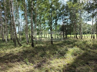 Zapraszam do zakupu działki 1005 m² pod dom w Gawartowej Woli działka Gawartowa Wola