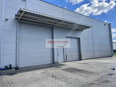 magazyn na wynajem 1051m2 magazyn Kraków, Rybitwy, Rybitwy