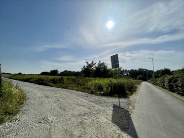 działka na sprzedaż 1250m2 działka Brzezina