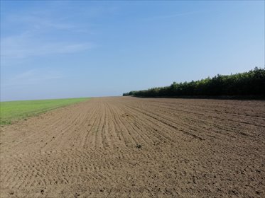 działka na sprzedaż 29000m2 działka Suchanówko