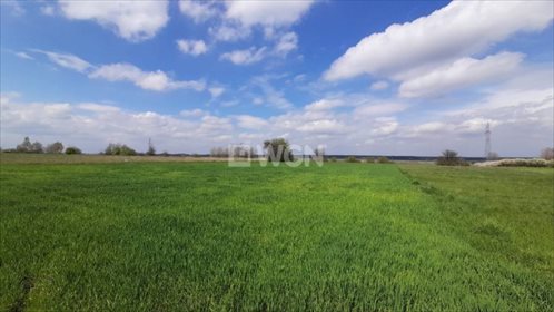 Działka budowlana na sprzedaż Trzebnice, Trzebnice 2 800m2 Foto 1