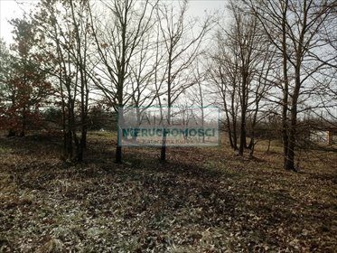 Sprzedam działkę budowlaną z lasem i rzeczką w Żyrardowie działka Żyrardów