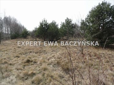 działka na sprzedaż 1000m2 działka Częstochowa, Wielki Bór