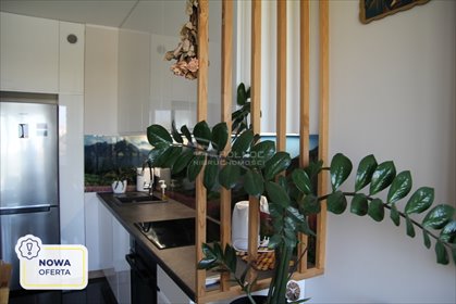 mieszkanie na wynajem 34m2 mieszkanie Łódź, Polesie