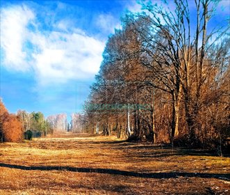 Działka z lasem 11 950 m² w Makówce – inwestycja z potencjałem działka Makówka