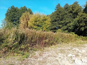 działka na sprzedaż 3200m2 działka Podolszyn Nowy, Długa