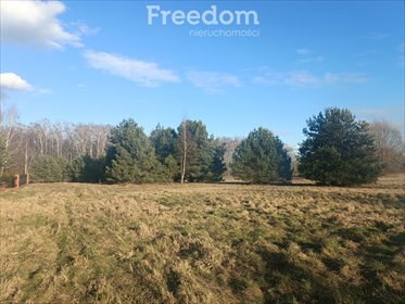 działka na sprzedaż 4000m2 działka Wągrodno, Jesionowa