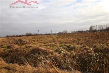 Działka budowlana na sprzedaż Zręcin 5 636m2 Foto 2