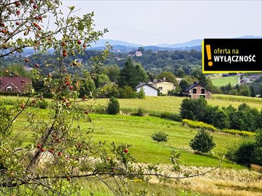 Działka 3500 m² z widokiem na góry i lasem - zapraszam działka Czechówka