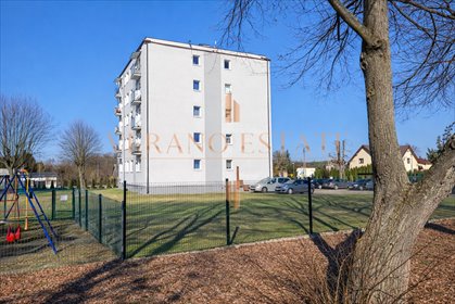 mieszkanie na sprzedaż 55m2 mieszkanie Leszno, Sochaczewska