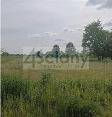 Działka 3000 m² przy drodze asfaltowej w Książenicach - polecam! działka Książenice