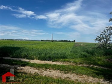 Atrakcyjny teren inwestycyjny 87 300 m² przy A4. działka Leśnica, Dolna