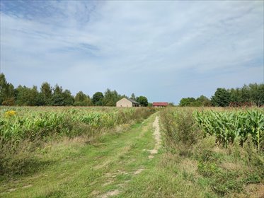 Działka 6,73 ha z domem i stodołą, blisko Suntago działka Gurba