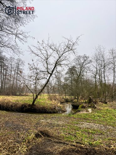 działka na sprzedaż 1399m2 działka Ruda, Spacerowa