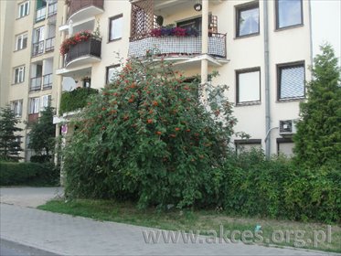 mieszkanie na wynajem 54m2 mieszkanie Piaseczno, Centrum, Powstańców Warszawy