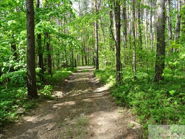 działka na sprzedaż 2420m2 działka Kwiatkowice-Las