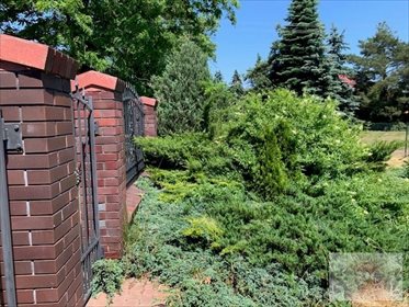 Działka budowlana na sprzedaż Konstantynów Łódzki, Żabiczki 1 347m2 Foto 1