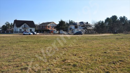 Działka budowlana 42x28 m w Dąbrowie (media, WZ, las) działka Dąbrowa