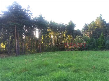 działka na sprzedaż 3351m2 działka Radonie