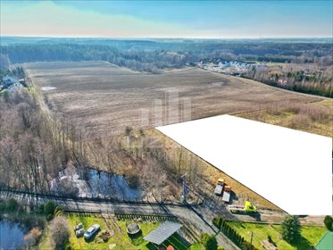 Działka 3022 m² z stawem i mediami (Okole, Starogard Gdański) działka Okole, Brzozowa