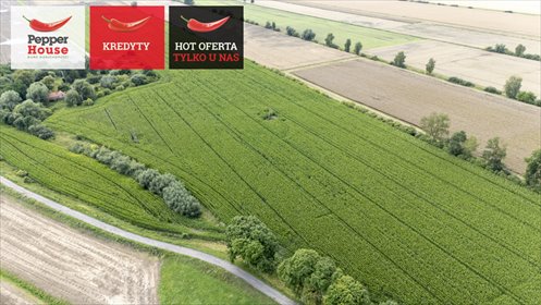 działka na sprzedaż 267200m2 działka Wielkie Walichnowy