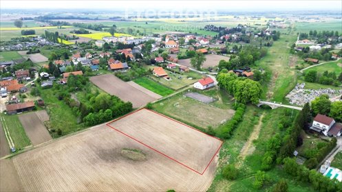 działka na sprzedaż 3000m2 działka Słonecznik