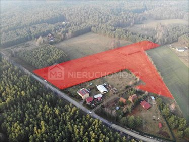Osowo Leśne - działka na sprzedaż działka Osowo Leśne, Osowo Leśne