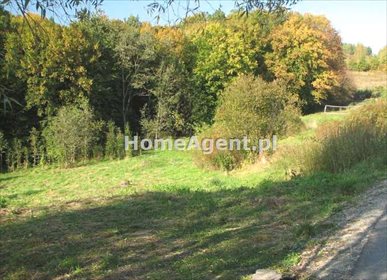 Działka budowlana na sprzedaż Sucha Beskidzka, Pikieta 1 620m2 Foto 3