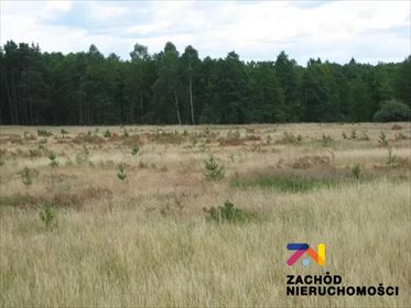 działka na sprzedaż 69300m2 działka Rogi