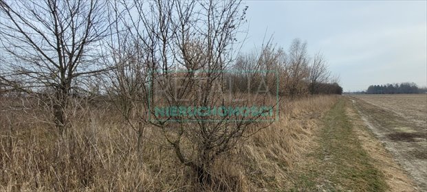 działka na sprzedaż 48730m2 działka Kotowice