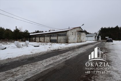 Hala magazynowa 1054 m² z parkingiem, blisko drogi ekspresowej magazyn Wysoka Głogowska