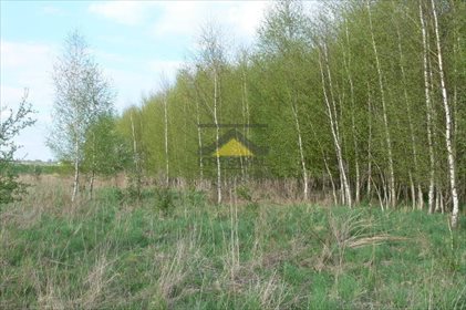 działka na sprzedaż 8693m2 działka Gorzów Wielkopolski