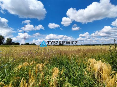 działka na sprzedaż 3397m2 działka Pawłowo