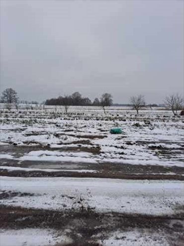 Działka budowlana na sprzedaż Szymanów 5 001m2 Foto 1