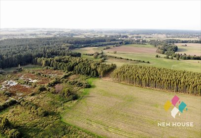 Działka leśna na sprzedaż Barcikowo 41 800m2 Foto 4